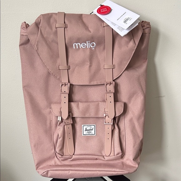 🎒 Herschel Little America Backpack – Rose Pink 🌸
Brand new with tags ✅ - Picture 1 of 10